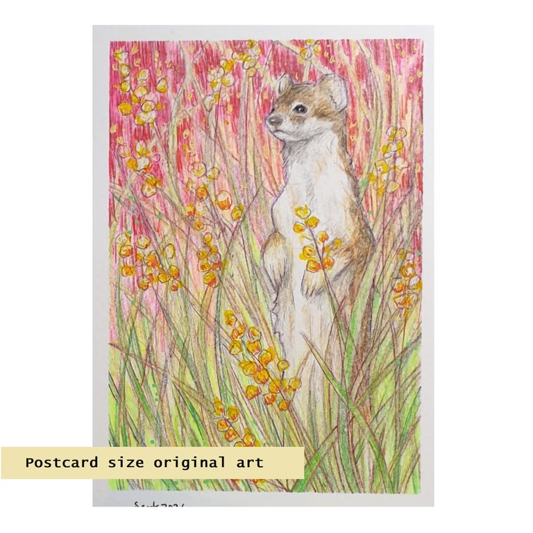 Little Weasel, small animal drawing, letterbox art gift, original art