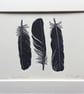'Crow Feathers ' Linocut Print