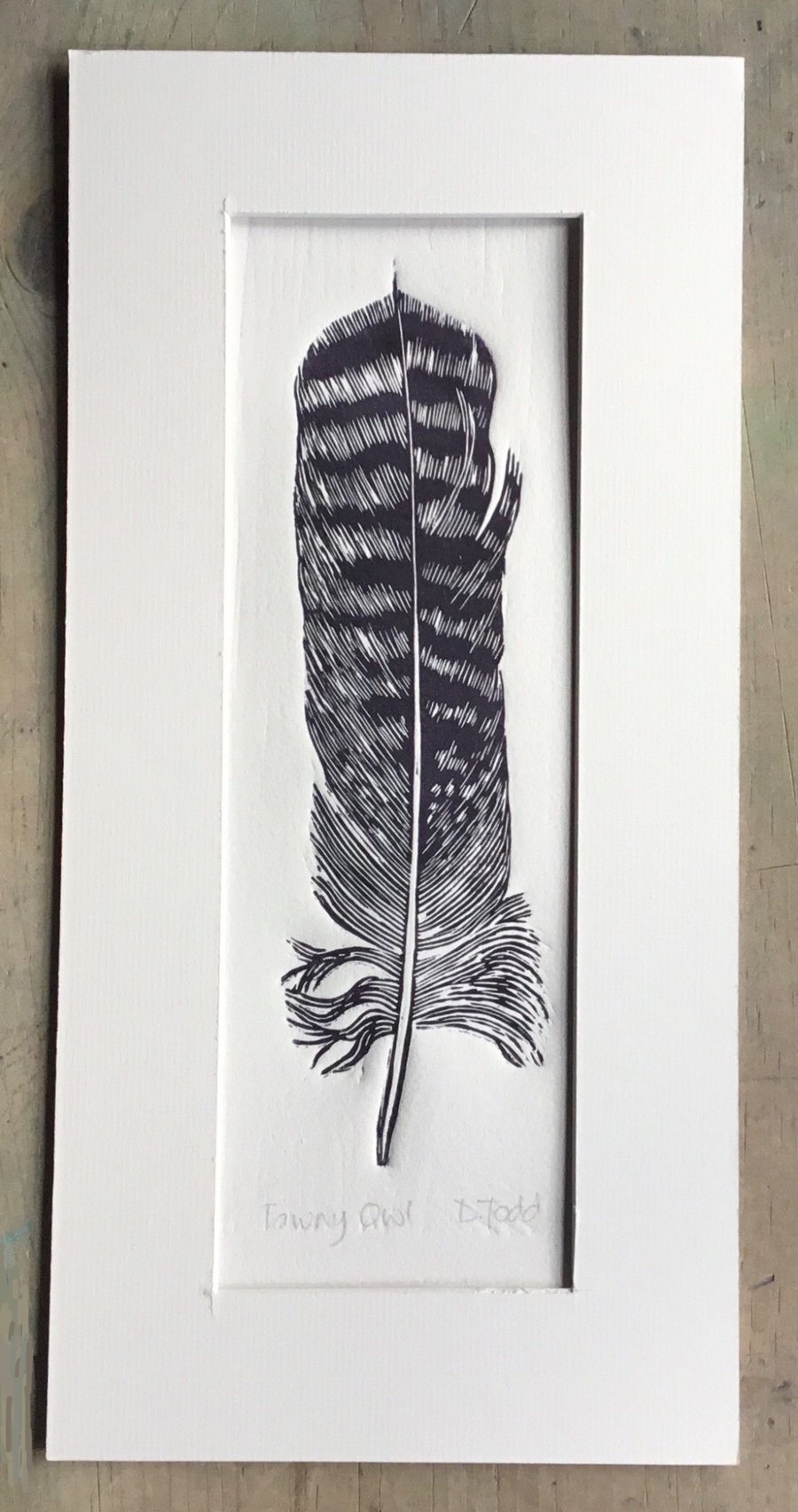 'Tawny Owl Feather' Linocut Print