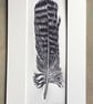 'Tawny Owl Feather' Linocut Print
