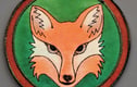 Foxes