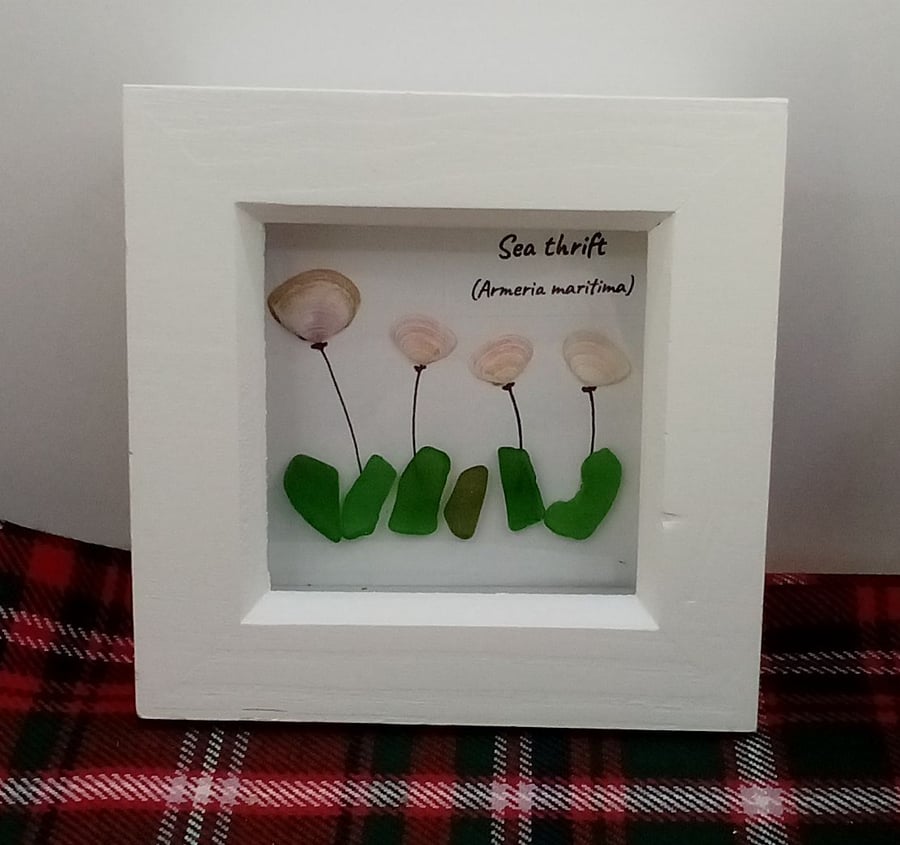 Seaglass wildflower pink sea thrift framed picture