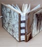 Driftwood Book & Handmade Mango-Leaf Paper - Image 2