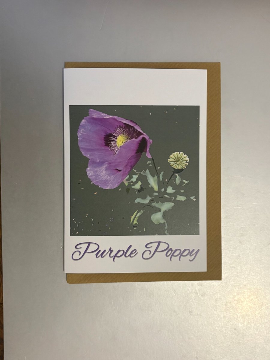 Purple Poppy A5 Greeting Card