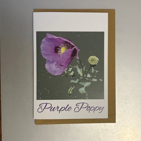 Purple Poppy A5 Greeting Card