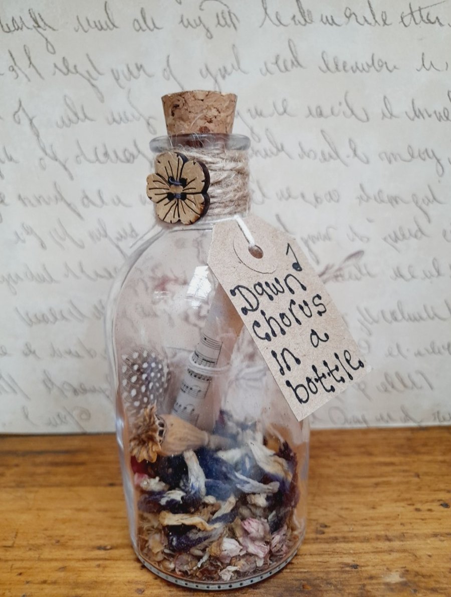 Dawn Chorus in a bottle Handmade Upcycled Cottagecore Keepsake Nature Inspired