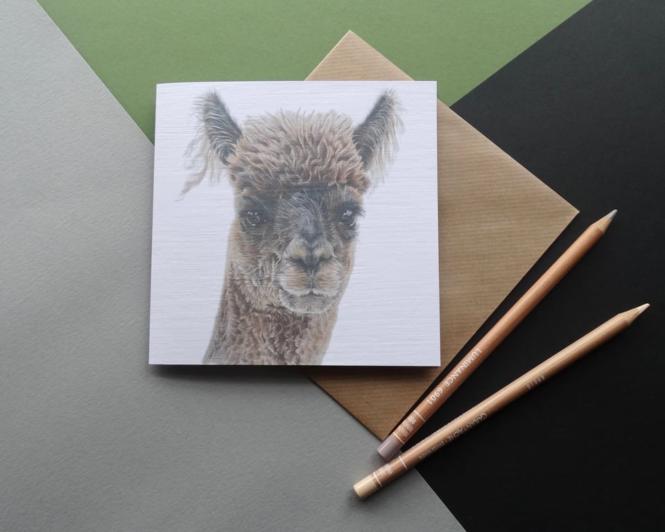 Greeting Card - Alpaca