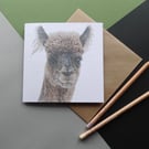 Greeting Card - Alpaca