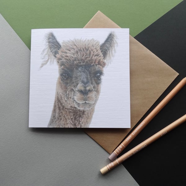 Greeting Card - Alpaca