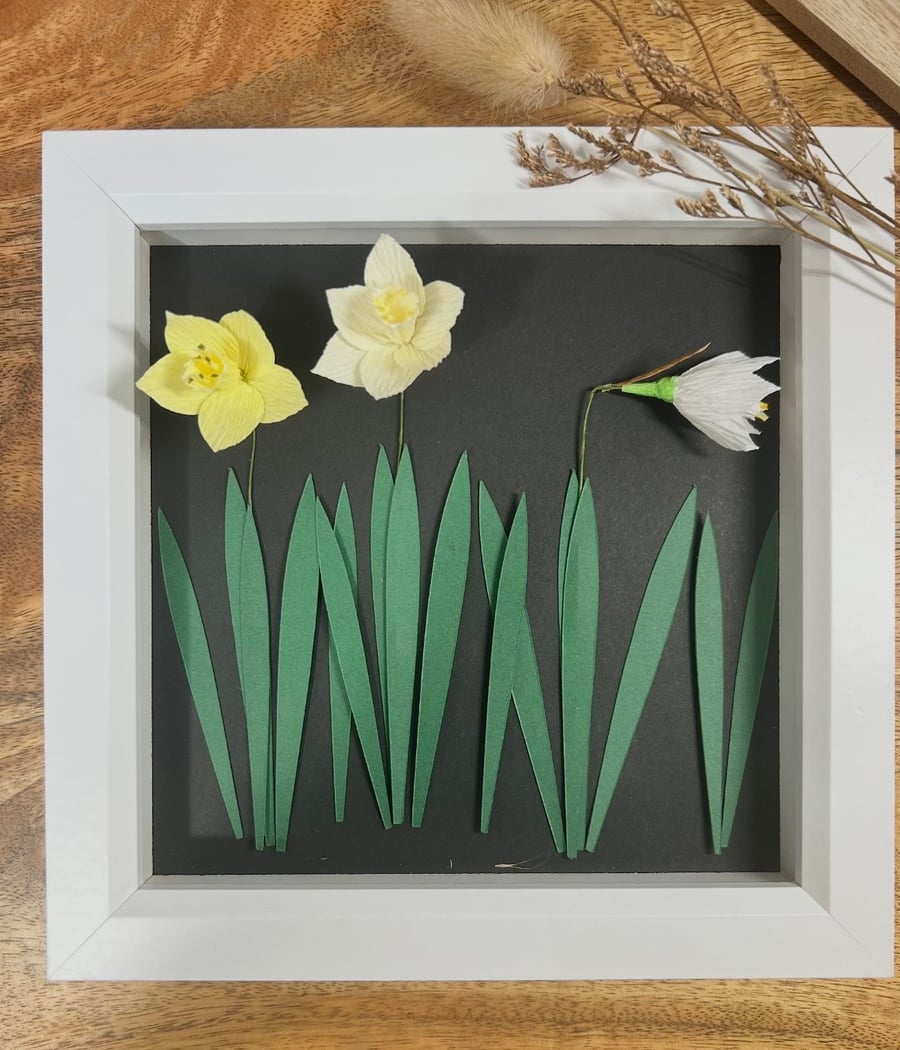 Daffodils in bloom picture