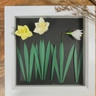 Daffodils in bloom picture