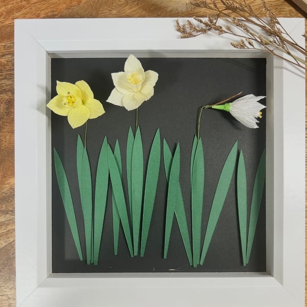 Daffodils in bloom picture