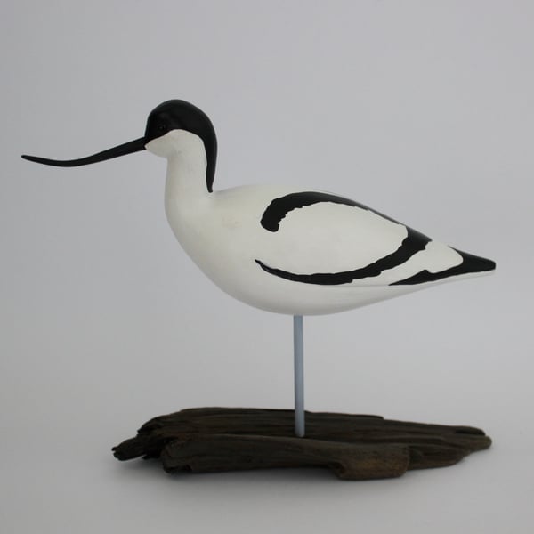 Small avocet