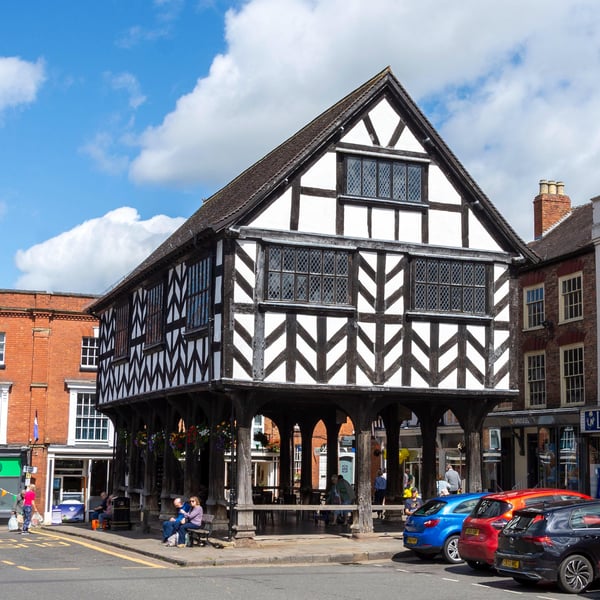 Ledbury market house print