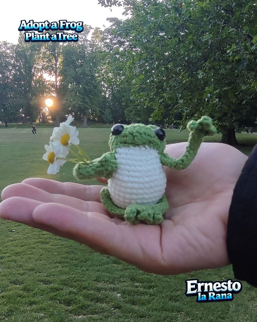 Adopt a Pocket Frog – Handmade Crochet Frog & Tree Planting Certificate