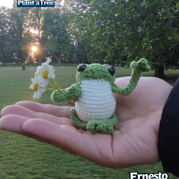 Adopt a Pocket Frog – Handmade Crochet Frog & Tree Planting Certificate