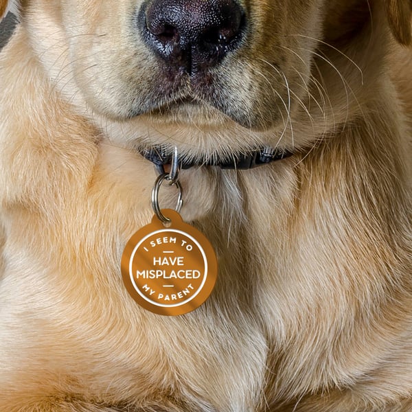 I Have to Seem To Misplaced My Parent, Text Custom Dog ID Collar Tag: Fun Pet ID