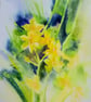 Original Daffodil Watercolor Painting - Yellow Spring Floral Wall Art