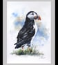 A Puffin, Original Watercolour Painting. - Image 2