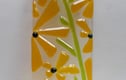 Worry poppets/Suncatchers