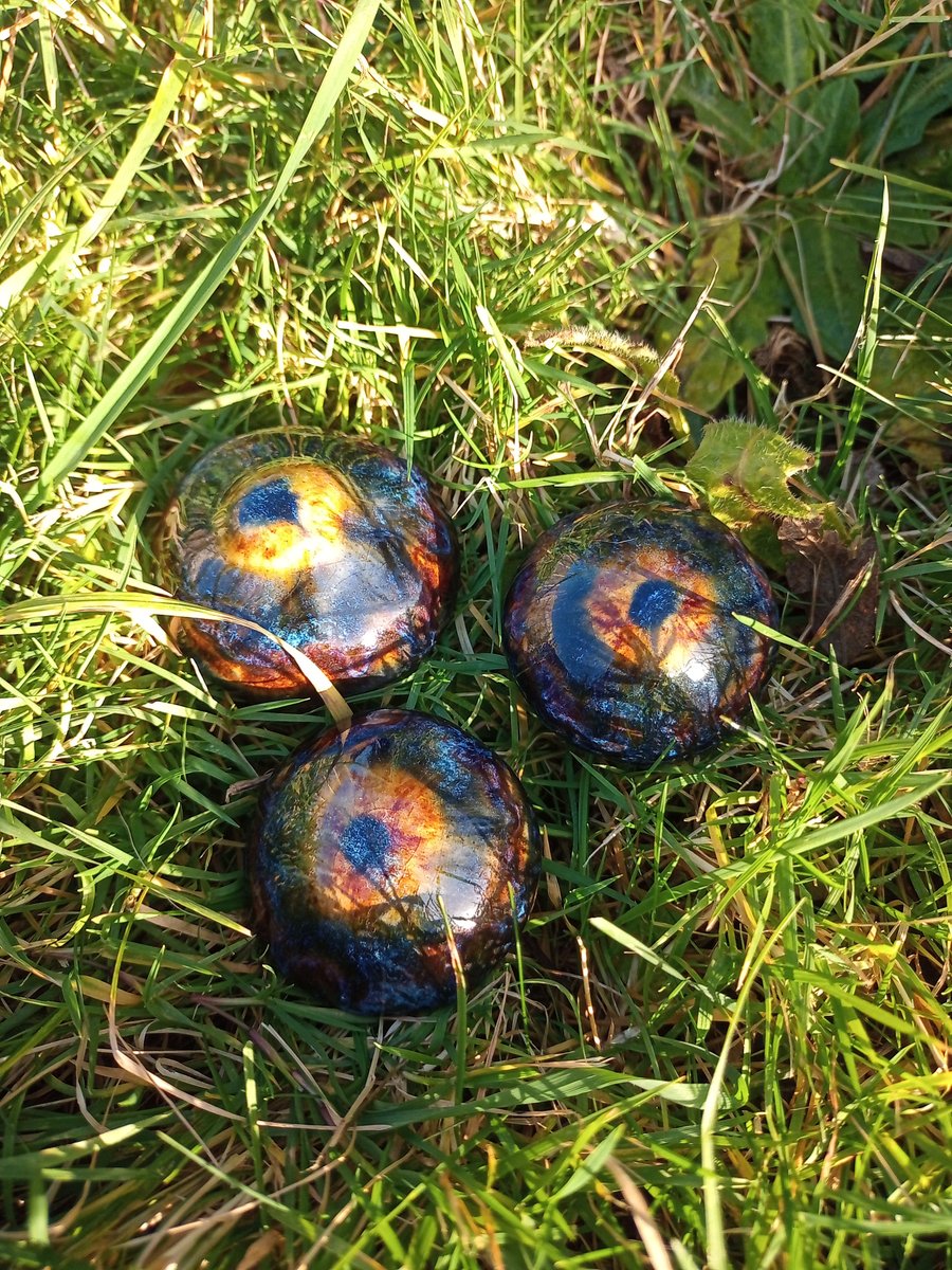 Mushroom trio Inky Blue