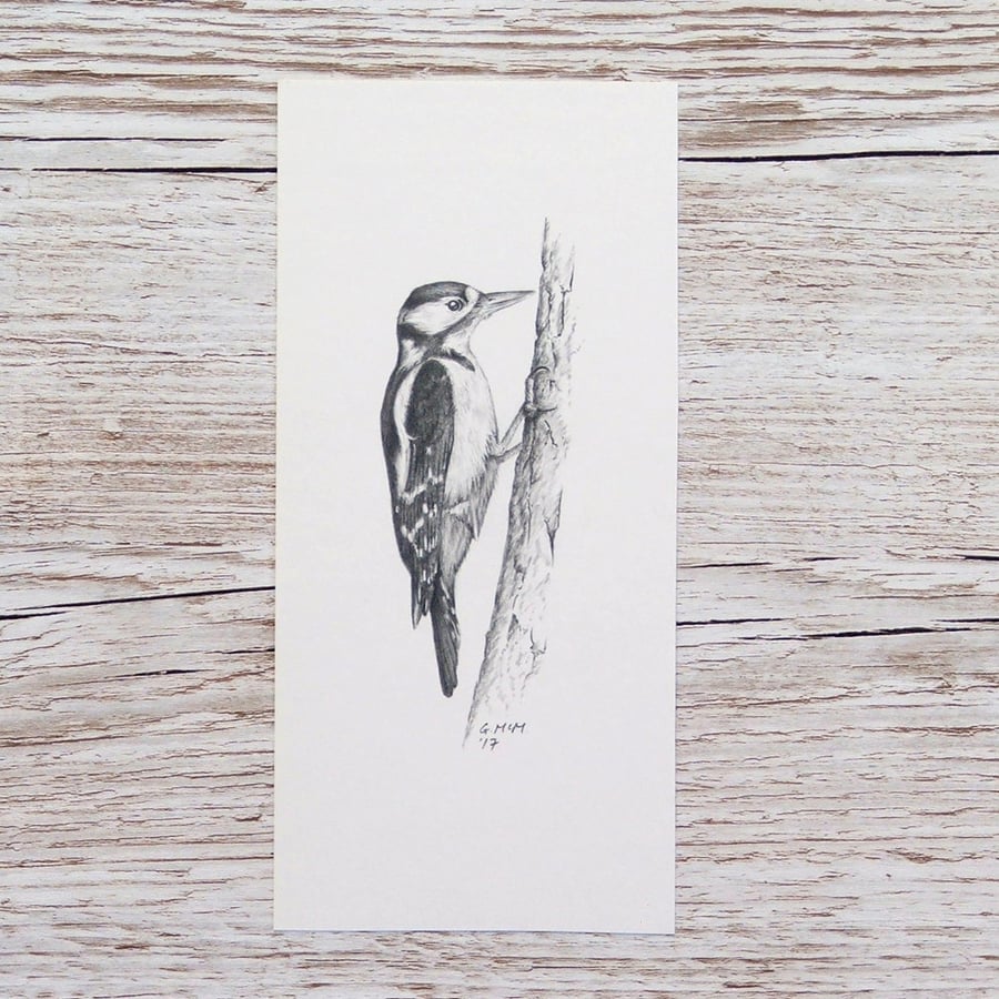 Original Pencil Drawing - Greater Spotted Woodpecker