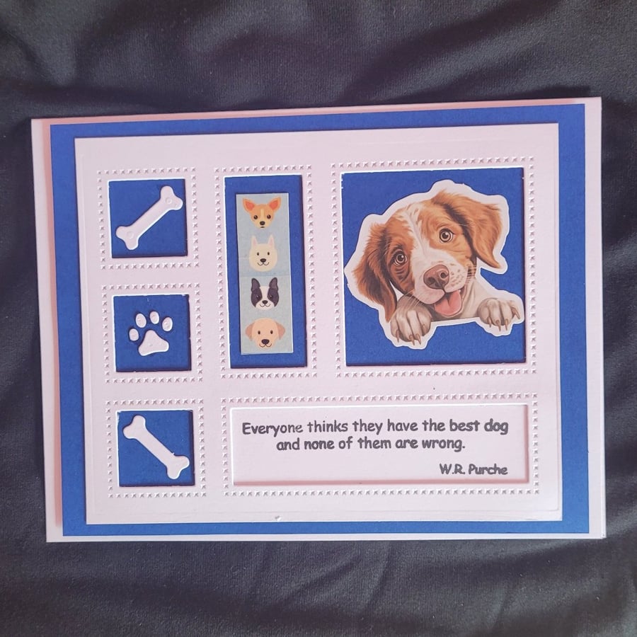 Dogs blank greetings card, terrier, windows
