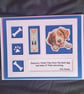 Dogs blank greetings card, terrier, windows