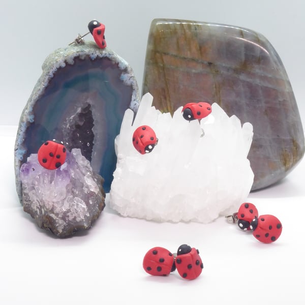 Red and Black Ladybird Stud Earrings 