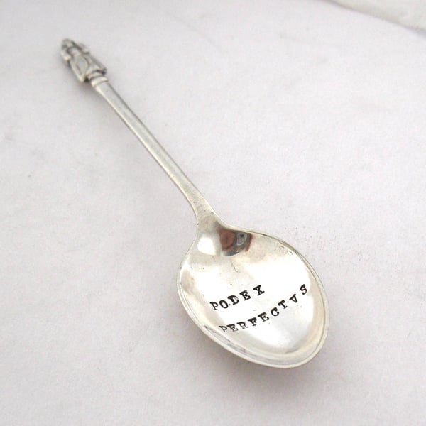 Sweary Rude Latin Insulting Spoon, Hand Stamped Vintage Apostle Coffeespoon
