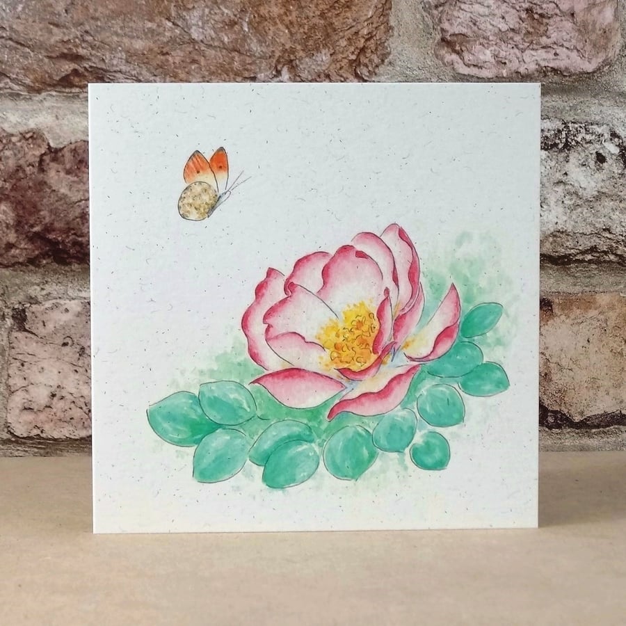  Blank Card Butterfly Rose Eco Friendly