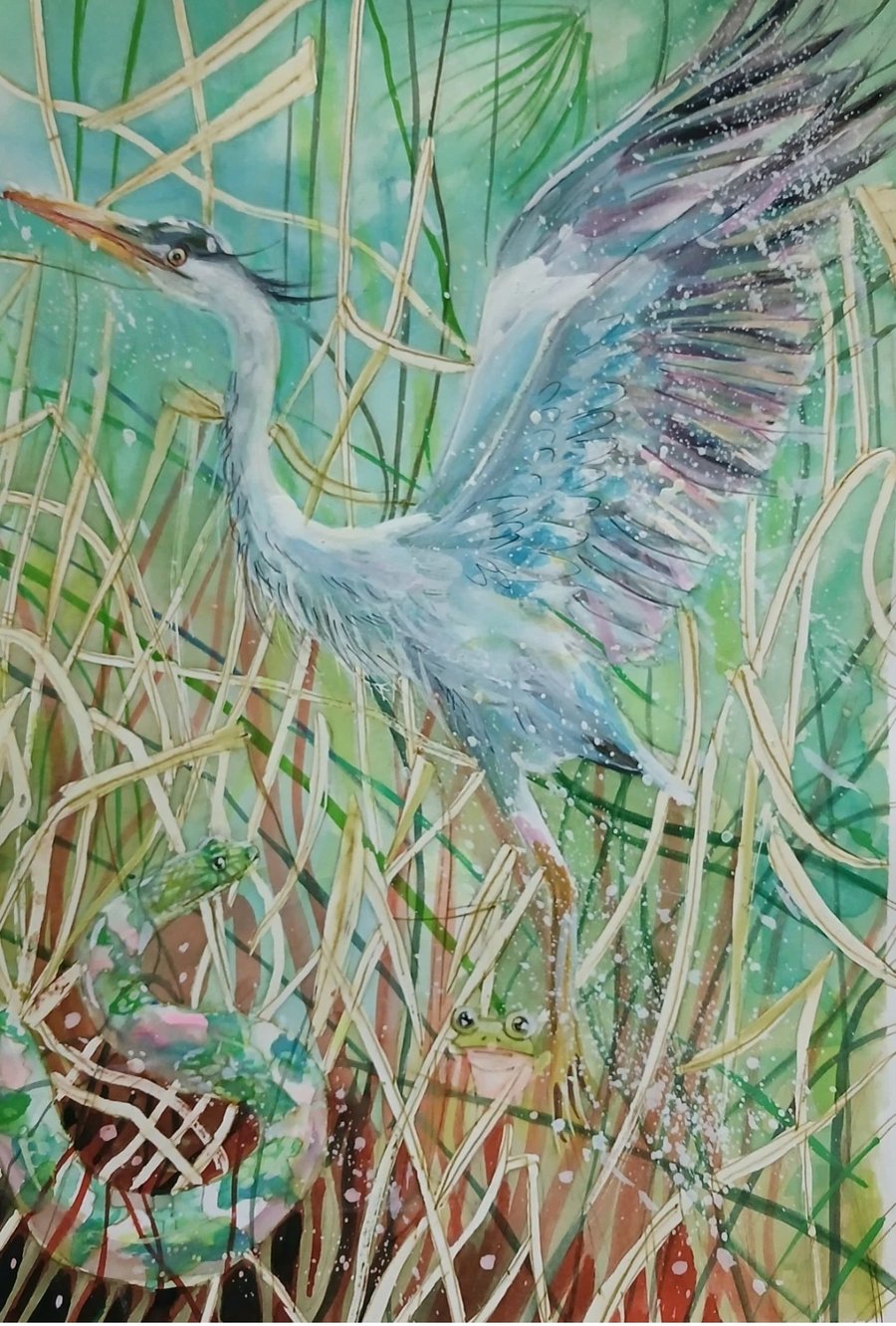 Blue Heron watercolour