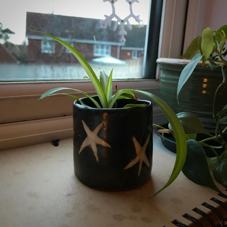 black and white stars, small hand built ceramic plant pot