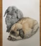 A3 Custom pet portrait for two pets made with coloured pencil - Image 5