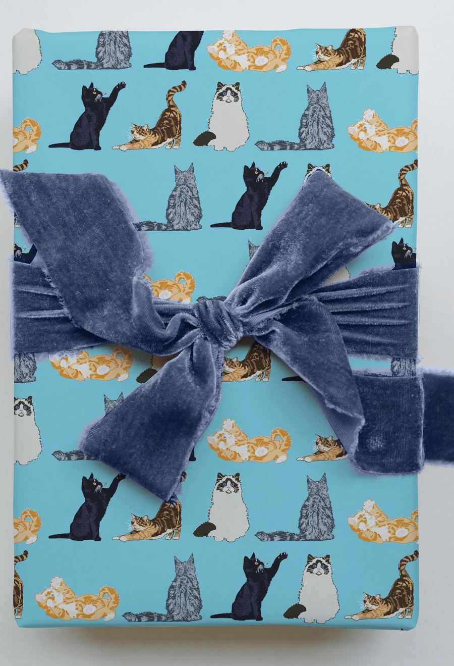 Cat themed luxury wrapping paper, 2 sheets with 2 matching gift tags