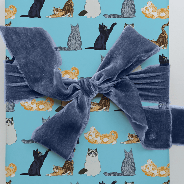 Cat themed luxury wrapping paper, 2 sheets with 2 matching gift tags