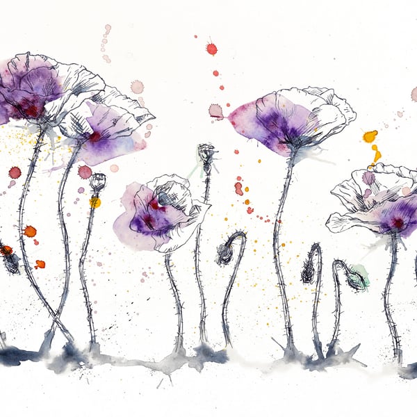 Purple Poppies watercolour print, flower painting, ink drawing