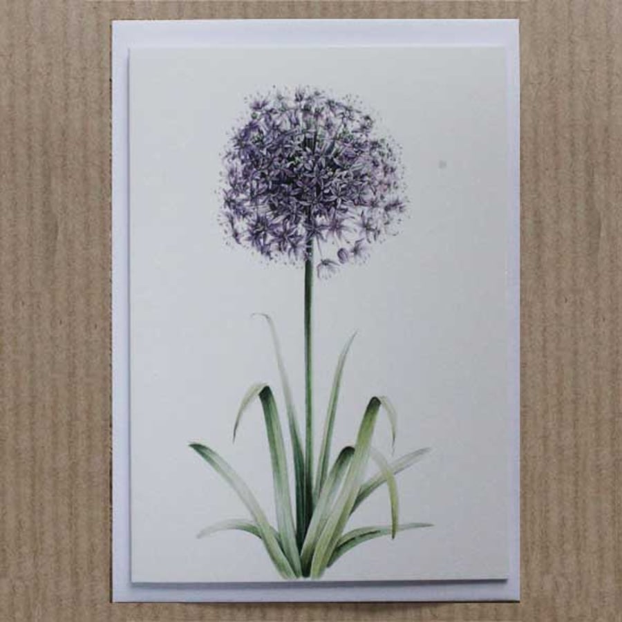 Purple Allium greetings card (single or pack of 5) with white envelope