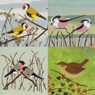 Garden birds greeting cards - pack of 4 cards