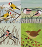 Garden birds greeting cards - pack of 4 cards