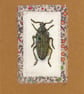 Unique Hand Made Card with Envelope - Image 2