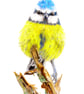 Bluetit - Original Coloured Pencil Drawing - Image 3