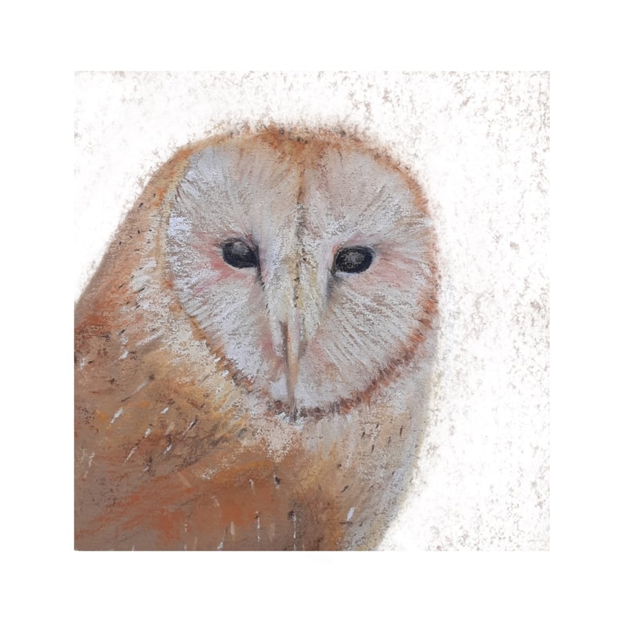 Owl Card - blank for all occasions - soft pastel painting