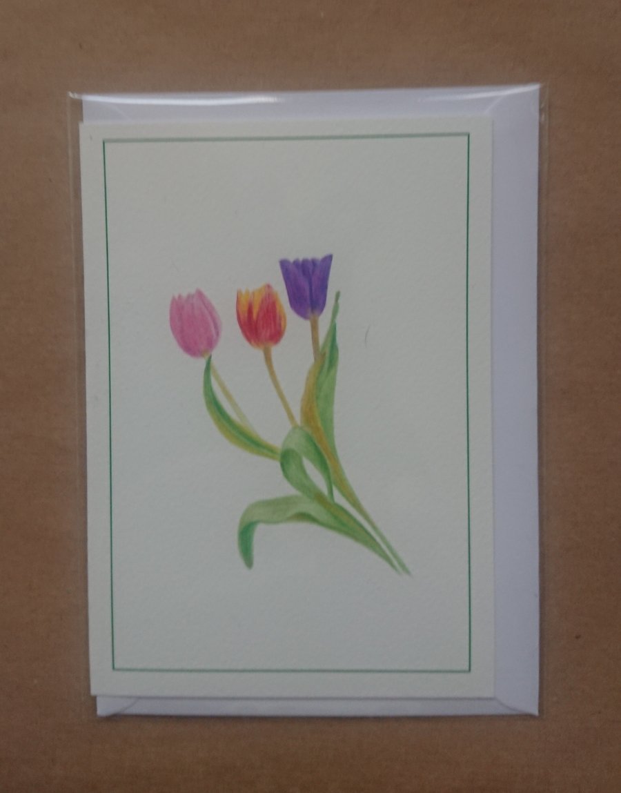 Tulips, card, print & original artwork drawing