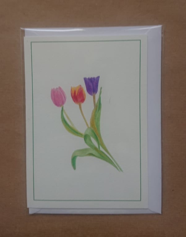 Tulips, handmade card, print & original pencil artwork drawing