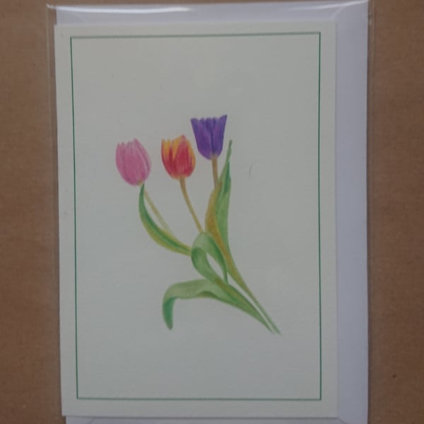 Tulips, card, print & original artwork drawing