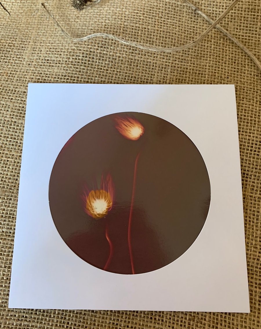 Lumen Print Card no.4