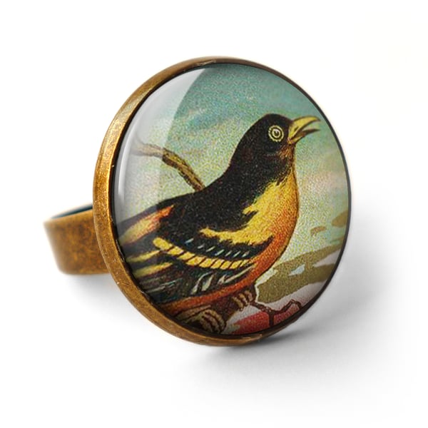 Affable Bird Ring (TB03)