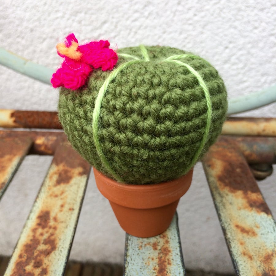 Crochet cactus - hot pink flower