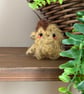 Tiny Autumn Friend With Beech Pod Hat - Image 1